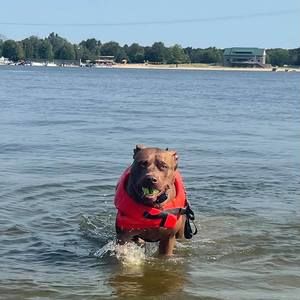 Meet your Posher, Kate